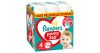 Pampers Pants 4 176