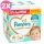 Pampers Premium Care 4 pelenka, 9-14 kg, 2x188 db - 2 HAVI pelenkacsomag