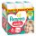 Pampers Pants 6