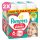 Pampers Pants 6-os bugyipelenka, 13-19 kg, 2x132db - 2 HAVI Pelenkacsomag + AJÁNDÉK Mancs törölköző