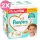 Pampers Premium Care 7 pelenka, 15+ kg, 2x120 db - 2 HAVI pelenkacsomag