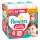 Pampers Pants 8