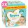 Pampers Premium Care 2-es pelenka, 4-8 kg, 2x224 db - 2 HAVI pelenkacsomag