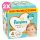 Pampers Premium Care 4-es, 9-14 kg, 2x174 db - 2 HAVI Pelenkacsomag